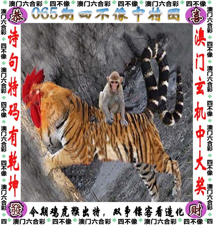 澳彩资料免费资料大全等