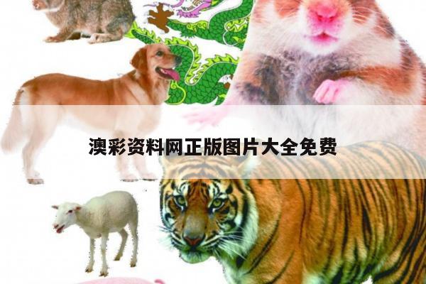 澳彩资料网正版图片大全免费